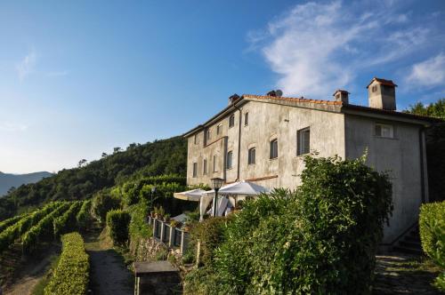 a building on a hill with vines at Casale In Vigna, CinqueTerreCoast in Casarza Ligure