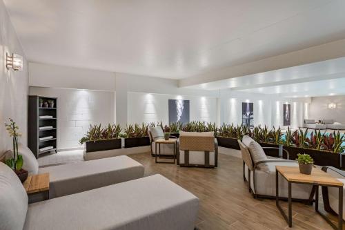 a living room with couches and tables and plants at Radisson Blu Hotel London Stansted Airport in Stansted Mountfitchet