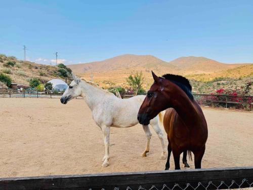 Casa Sierra, A Stunning Spanish Rural Retreat, Granada ...