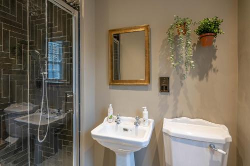 a bathroom with a sink and a toilet and a mirror at The George Inn & Plaine in Norton Saint Philip
