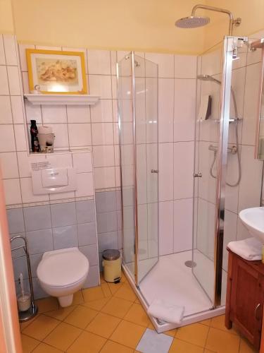 a bathroom with a shower and a toilet at FerienAppartments Landhaus FühlDichWohl in Fehring