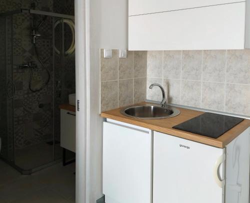uma cozinha com um lavatório e um chuveiro em Apartments Marina em Apatin