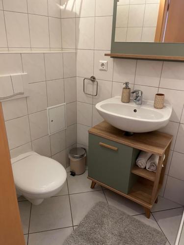 a bathroom with a sink and a toilet at Jena Botanischer Garten in Jena