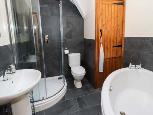 a bathroom with a toilet and a sink and a shower at Cornel Clyd in Llanddulas