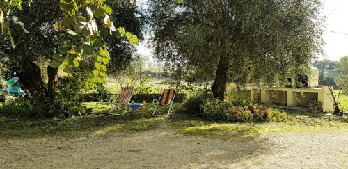 two chairs and a table in a yard with trees at Le Caracol - Appartamenti immersi nel verde della campagna e a 1 chilometro da Orosei in Orosei
