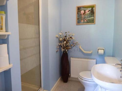 a bathroom with a toilet and a vase of flowers at Crud-y-Barcud in Pumpsaint