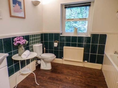 a bathroom with a toilet and a sink and a window at Teifi House in Cilgerran