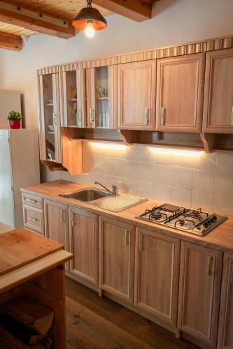 Gallery image of Holiday House Veliki breg in Mojstrana