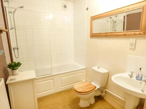 ベイクウェルにあるRiver Cottageのバスルーム(トイレ、洗面台、シャワー付)