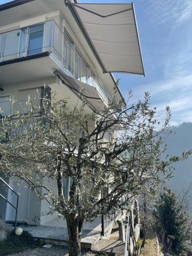 a house with a tree in front of it at Casa Colmegna mit traumhaften See- und Bergblick in Luino