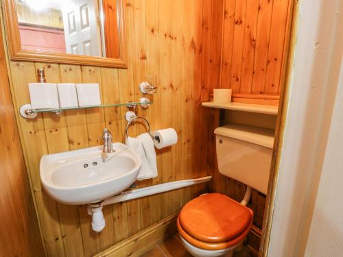 a wooden bathroom with a sink and a toilet at Maesawel Studio in Harlech