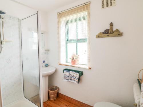 La salle de bains est pourvue d'une douche, de toilettes et d'un lavabo. dans l'établissement Driftwood Cottage, à Fethard-on-Sea