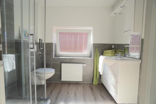 a bathroom with a toilet and a sink and a shower at Ferienwohnung - Unterm Dach in Schleswig