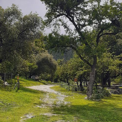 Φυσικό τοπίο κοντά σε αυτό το σαλέ