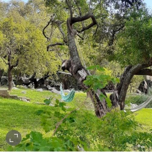 Φυσικό τοπίο κοντά σε αυτό το σαλέ