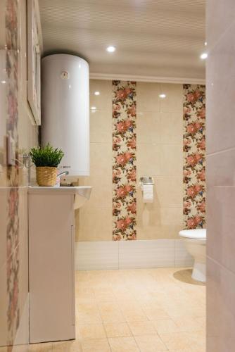a bathroom with a toilet and a sink at Villa Magonīte in Ventspils