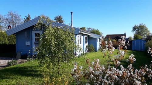a blue house with a bush in the yard at Das blaue Häuschen in Westerholz