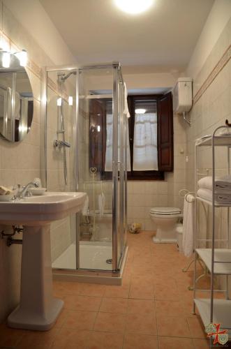 a bathroom with a shower and a sink and a toilet at Donnaberarda in Cortona