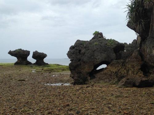 Un paisaje natural cerca de la casa vacacional