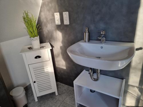 a bathroom with a white sink with a plant on it at Ferienhaus Marpe 125 in Bad Arolsen