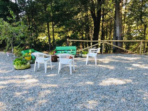 a group of chairs and a table in a yard at Hostel Isla del Rey in Valdivia