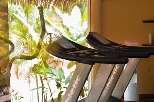 a row of surfboards on a rack in front of a window at Hotel Villa Mercedes Palenque in Palenque