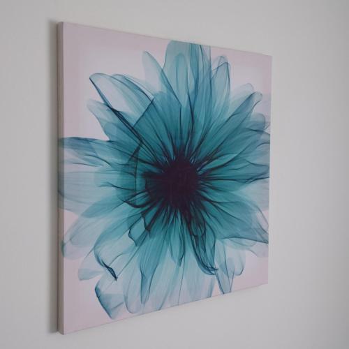 a picture of a blue flower on a white wall at Mill House Bungalow in Potter Heigham
