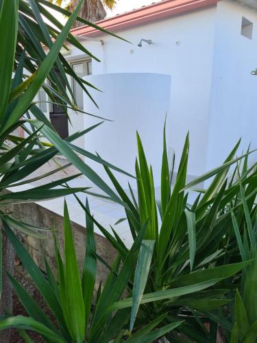 Gambar di galeri bagi Casa Vacanza Delfino Azzurro - Noto Marina - di Calabernardo