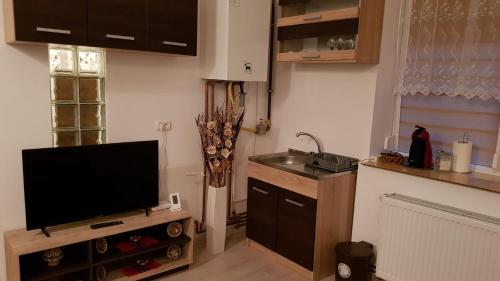 a kitchen with a sink and a tv on a counter at Casa Clau in Arad