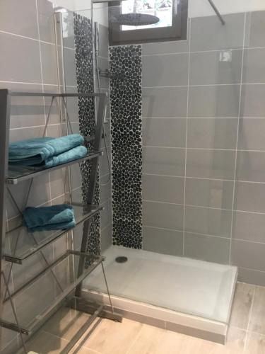 Ένα μπάνιο στο Duplex moderne au Palais des Papes