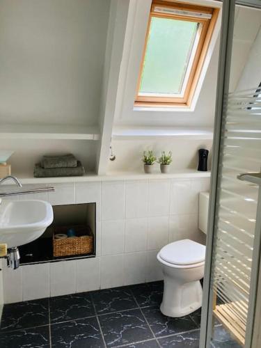 a bathroom with a toilet and a sink and a window at La cabane, Durbuy in Durbuy