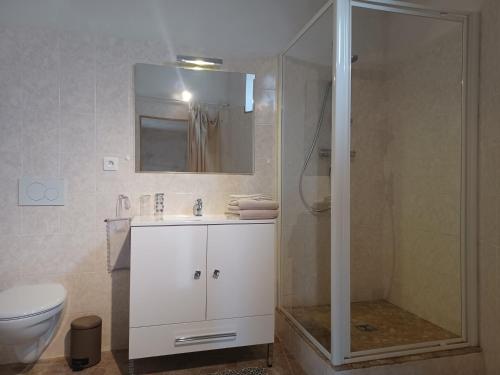 a bathroom with a shower and a sink and a toilet at Le studio côté chapelle in Coursegoules