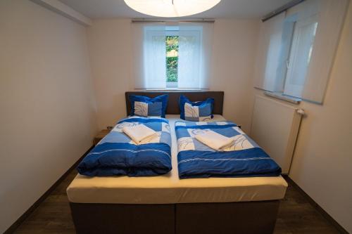 een slaapkamer met 2 bedden en blauwe kussens bij Das Appartment im Gästehaus im Rittergut Keulrod in Bischofrod