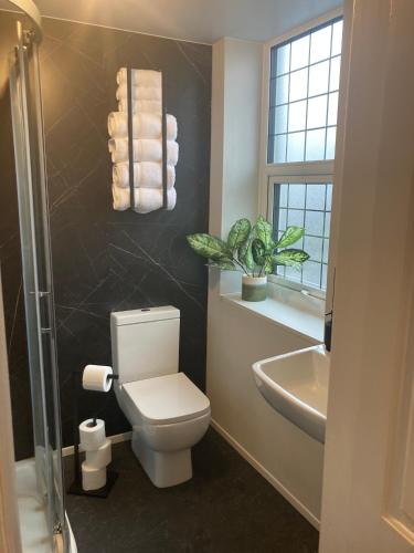 a bathroom with a toilet and a sink and a window at Abbey Court Guest House in Carlisle