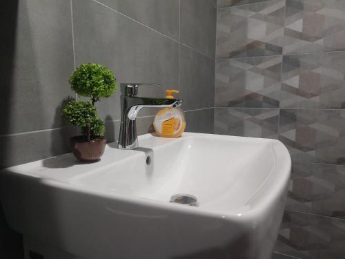 a white sink with a bottle of soap and a plant on it at Antoni Apartment in Skopje