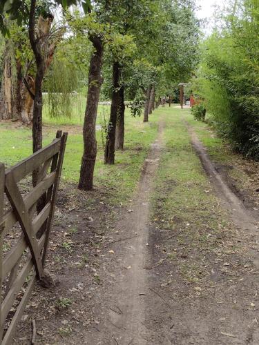 El Manantial – Photos 4