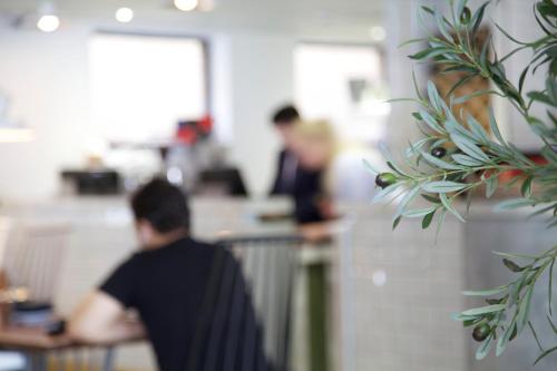 a man is looking at a plant in a kitchen at The Z Hotel Piccadilly in London