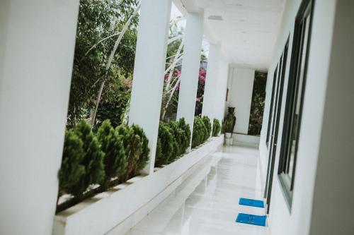 Κήπος έξω από το Nhat Quang Hotel