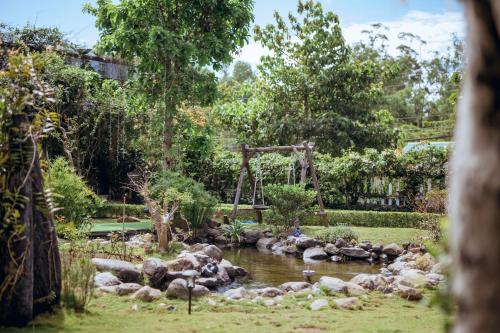 un grupo de animales yaciendo en un estanque en un jardín en Nhat Quang Hotel, en Bao Loc