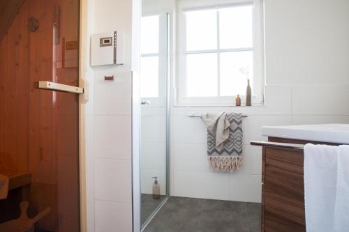 a bathroom with a glass shower and a sink at Ferienhaus Schilfrohrsaenger 6 in Fuhlendorf
