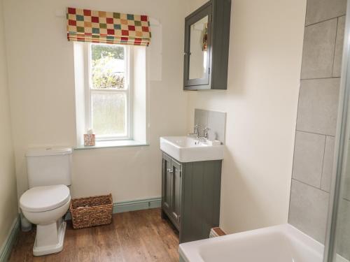 a bathroom with a toilet and a sink and a window at Newbiggin Cottage in Blanchland