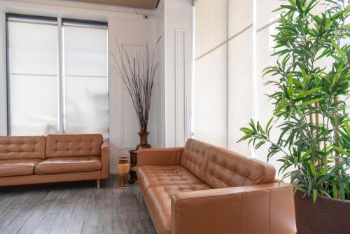 a living room with two brown leather couches and plants at Weston Suites Hotel in Santo Domingo