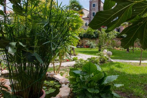 a garden with plants and a building in the background at Hotel Sant'Antonin in Venice