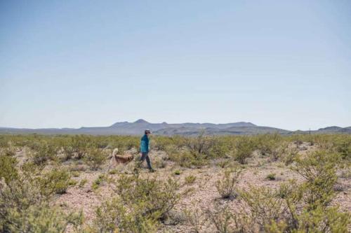 a man and a dog walking in a field at Camping at Desert Gardens Oasis in Lobo, TX in Van Horn
