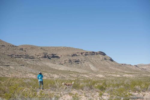 a person and a dog in a field with a mountain at Camping at Desert Gardens Oasis in Lobo, TX in Van Horn