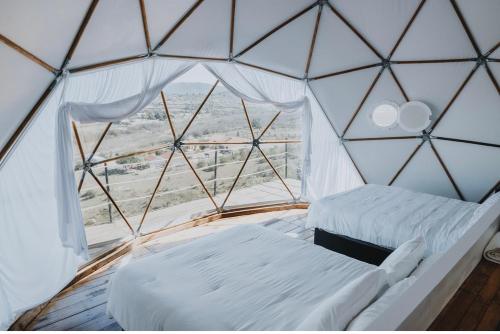 a room with two beds in a glass igloo at Domoss Valle in Valle de Guadalupe