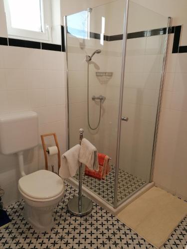 a bathroom with a shower and a toilet at István Vendégház in Mórahalom