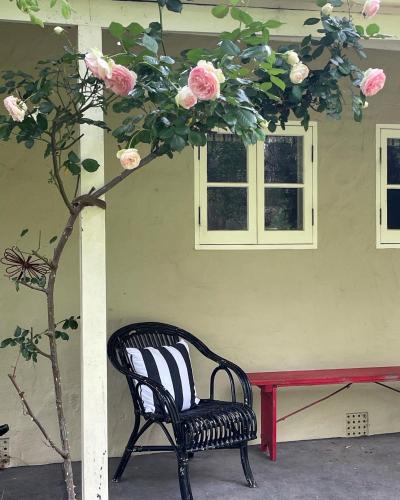 a chair sitting in front of a house with a tree at Fleetwood Cottage Bed and Breakfast in Mylor