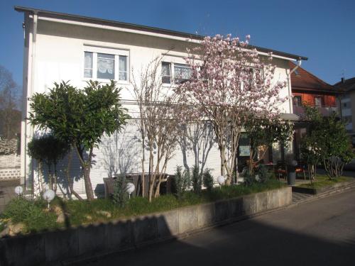 a white house with trees in front of it at Gästehaus3land in Weil am Rhein in Weil am Rhein