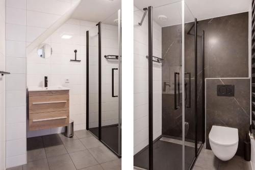 ein Bad mit einer Dusche und einem WC in der Unterkunft Beneden appartement paviljoenwei 12, Sneek - Offingawier in Offingawier
